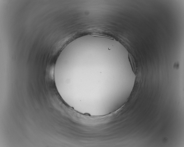 X0000112540047200908311457