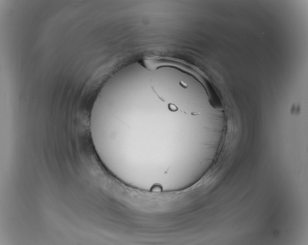 X0000112540048200908311457