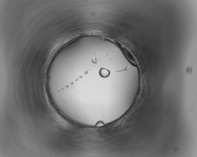 X0000112540049200908311456