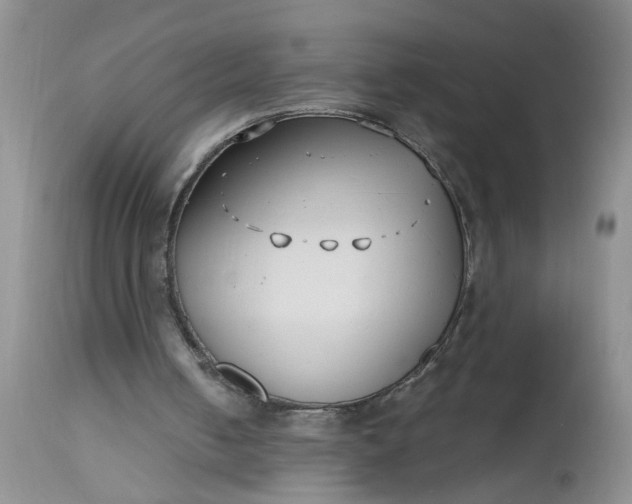 X0000112540050200908311456