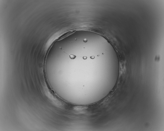 X0000112540051200908311456