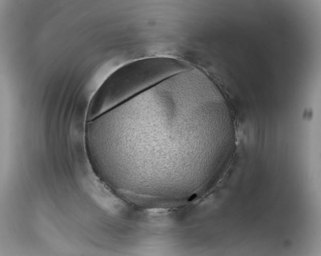 X0000112540052200908311456