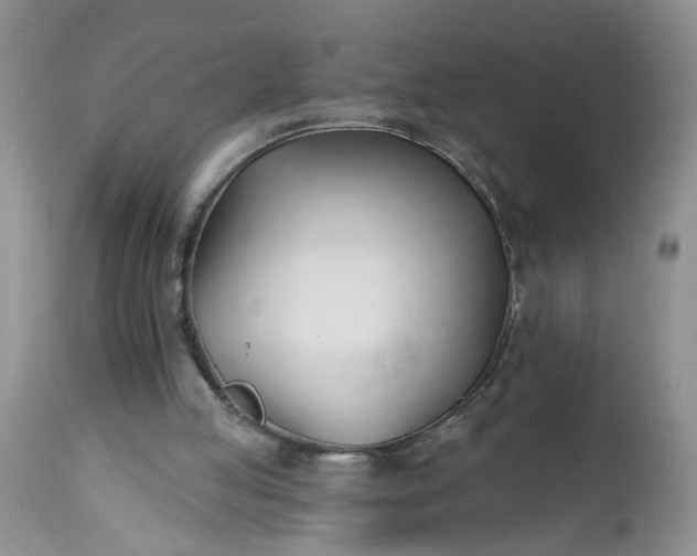 X0000112540053200908311456