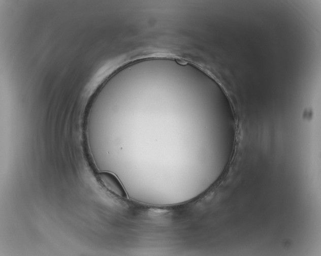 X0000112540055200908311456