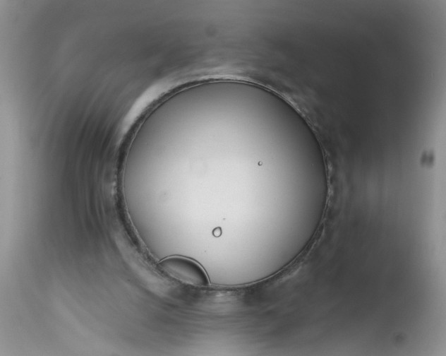 X0000112540056200908311456