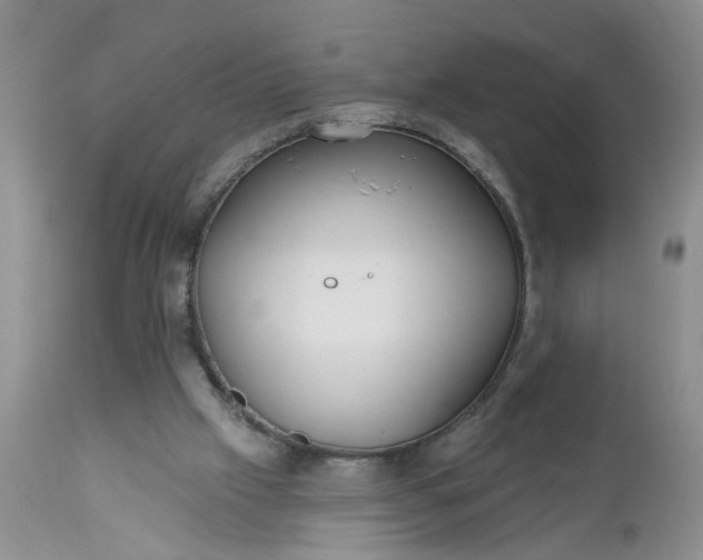 X0000112540057200908311456