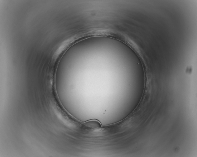 X0000112540059200908311456