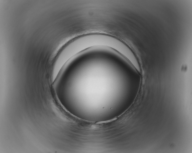 X0000112540060200908311456