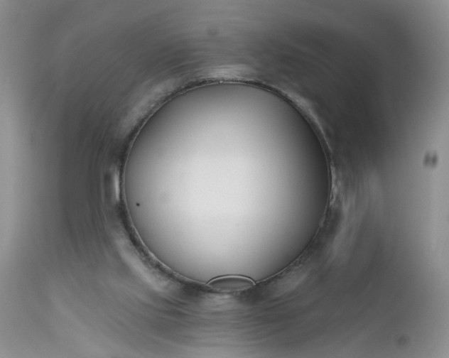 X0000112540061200908311456