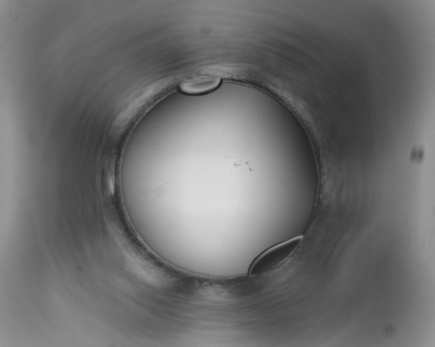 X0000112540062200908311456