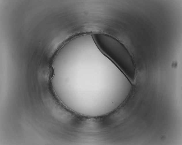 X0000112540064200908311456