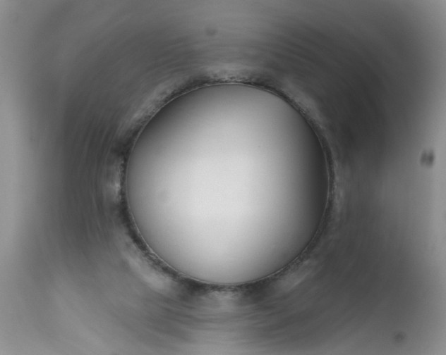 X0000112540065200908311456