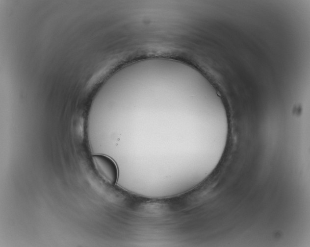 X0000112540067200908311456