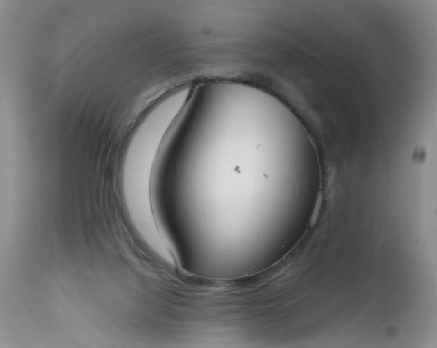 X0000112540068200908311456