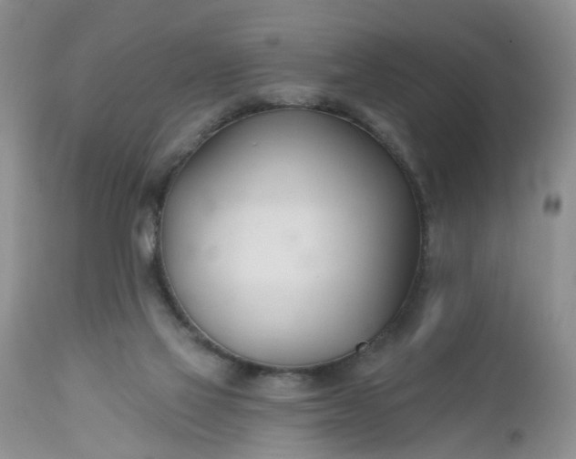 X0000112540069200908311456
