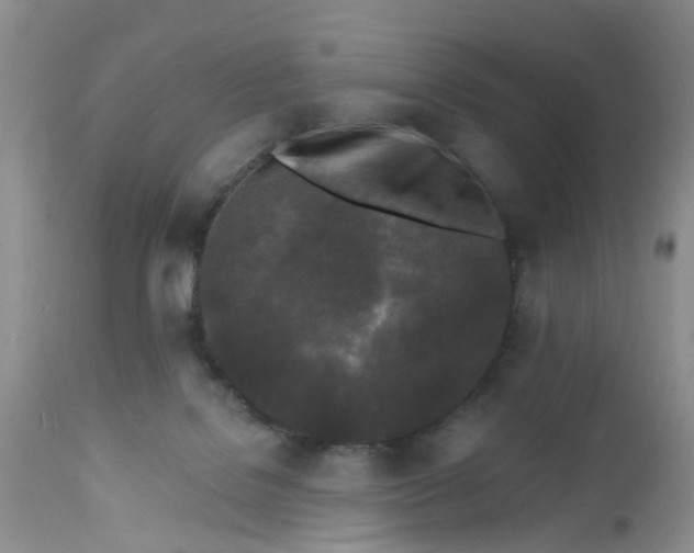 X0000112540076200908311456