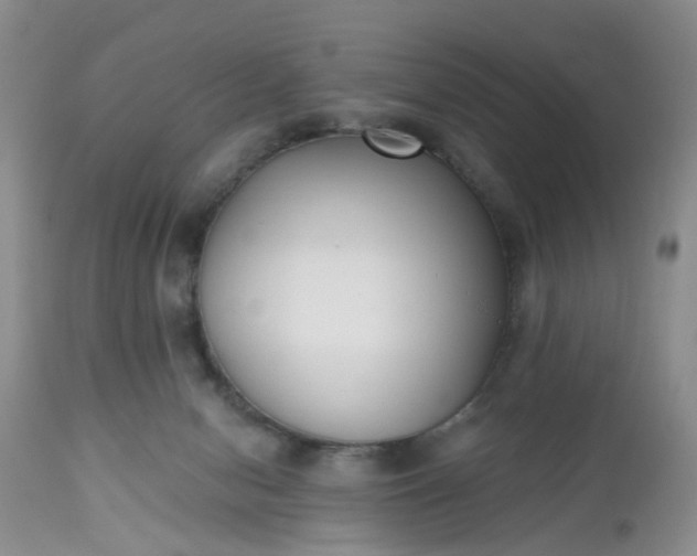 X0000112540078200908311456
