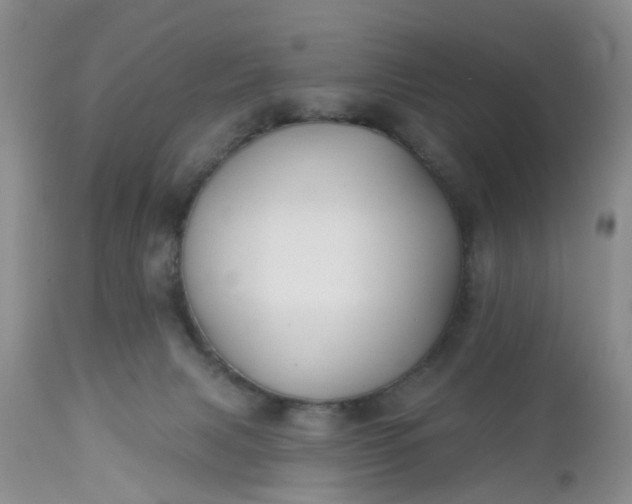X0000112540079200908311456