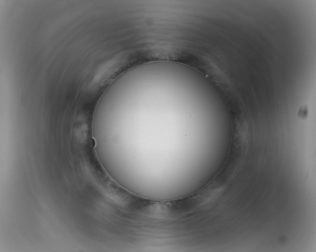 X0000112540080200908311456