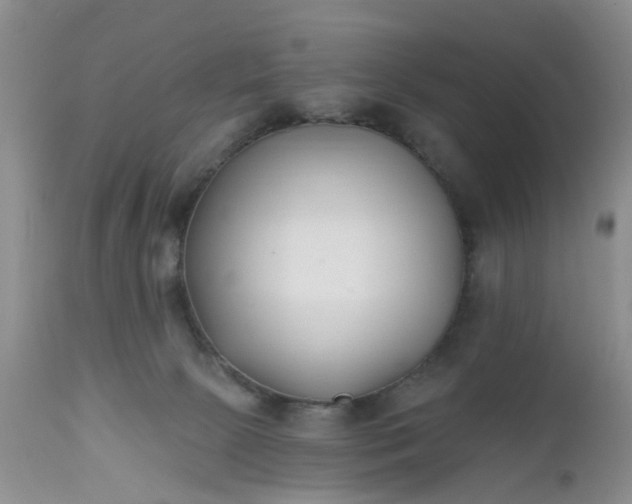 X0000112540081200908311456