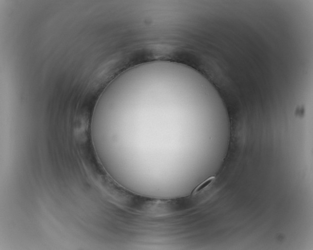 X0000112540082200908311456