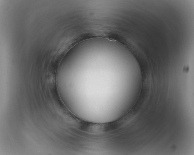 X0000112540084200908311456