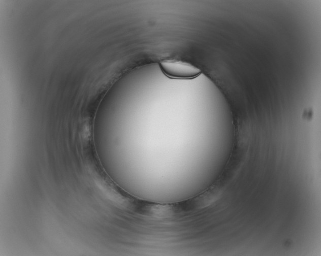 X0000112540085200908311456