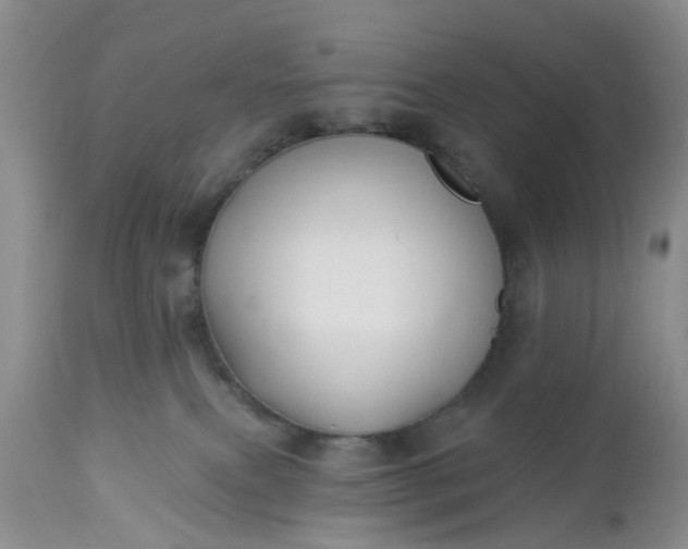 X0000112540087200908311456