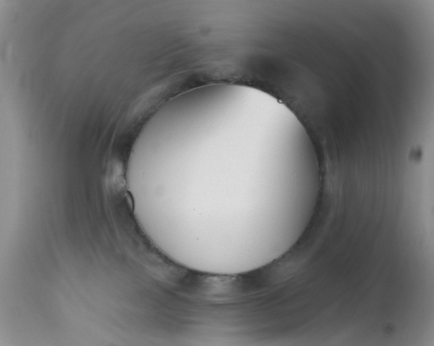 X0000112540089200908311456