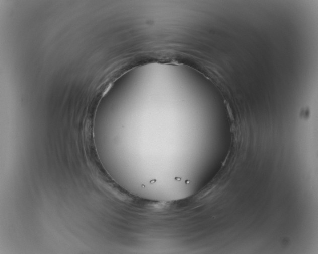 X0000112540092200908311457