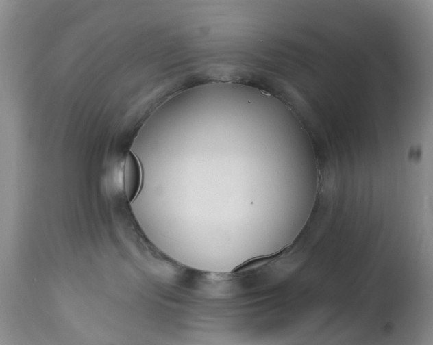 X0000112540095200908311457
