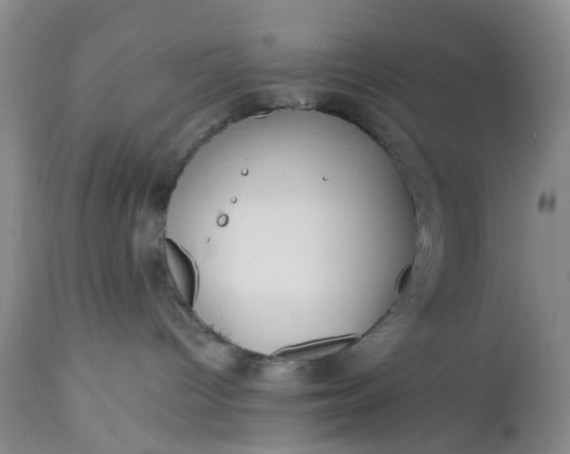 X0000112540096200908311457