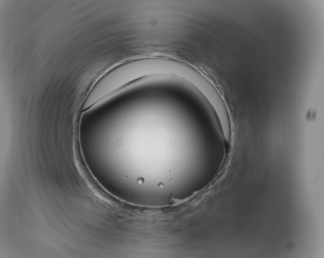 X0000112540097200908311456