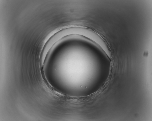 X0000112540100200908311456