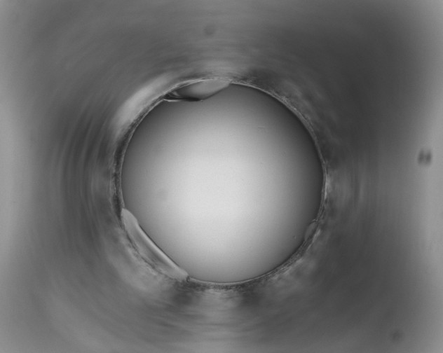 X0000112540101200908311456