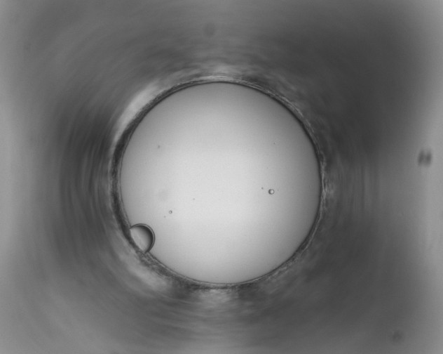 X0000112540102200908311456