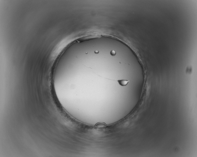 X0000112540103200908311456