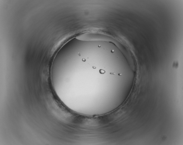 X0000112540107200908311456