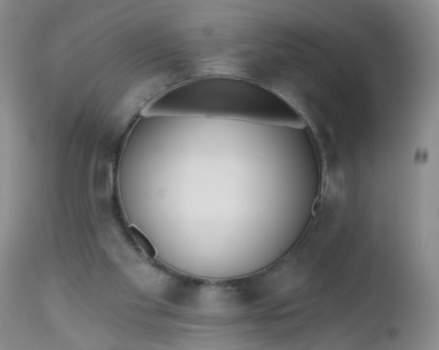 X0000112540109200908311456