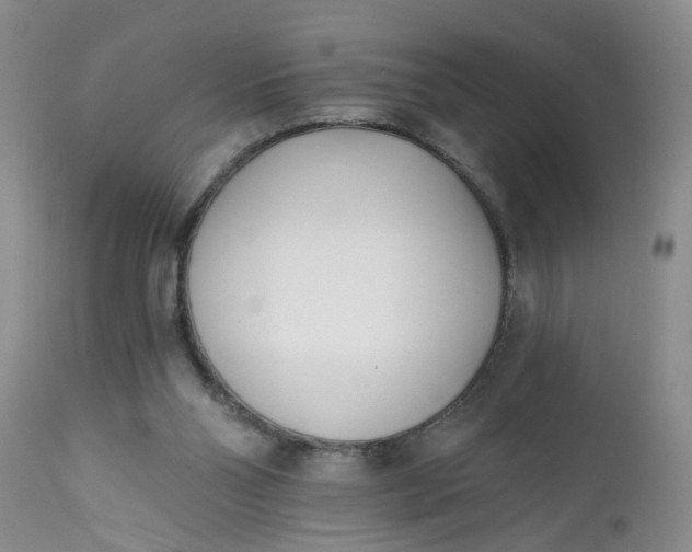 X0000112540110200908311456