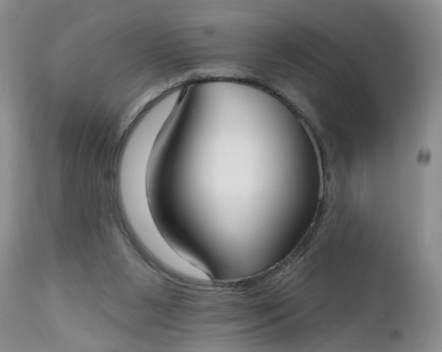X0000112540111200908311456