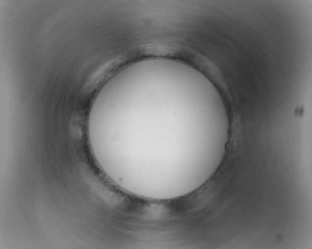 X0000112540114200908311456