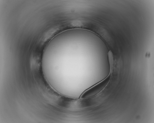 X0000112540116200908311456