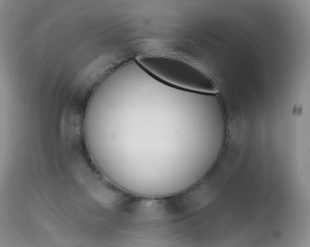 X0000112540117200908311456
