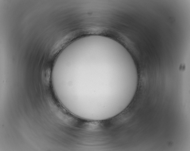 X0000112540118200908311456