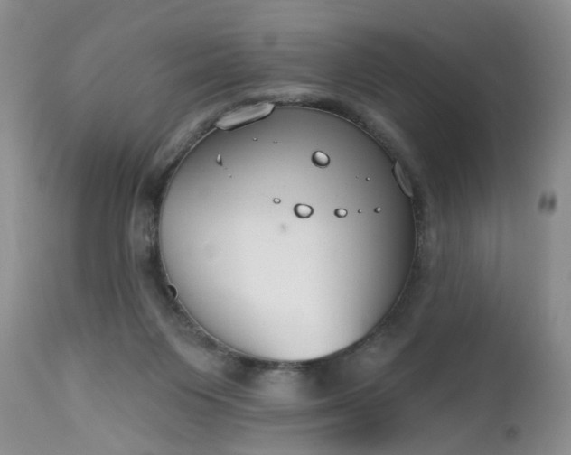 X0000112540119200908311456