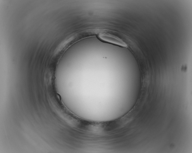 X0000112540120200908311456