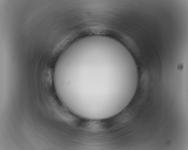 X0000112540121200908311456