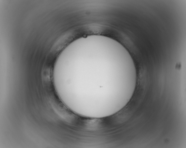 X0000112540122200908311456