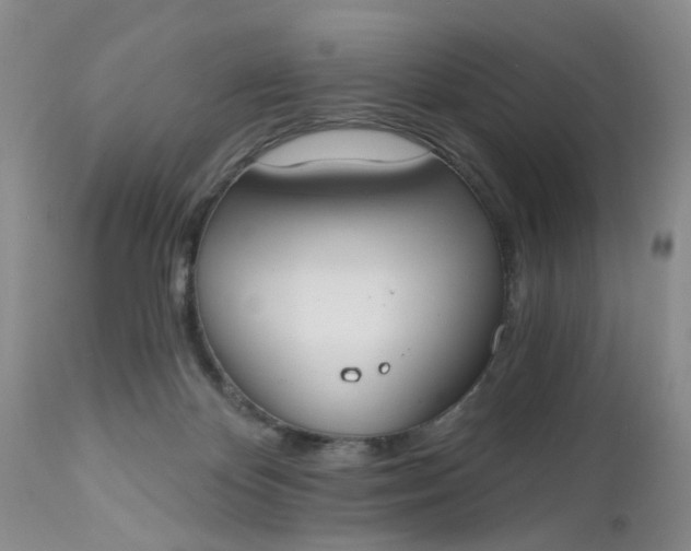 X0000112540124200908311456